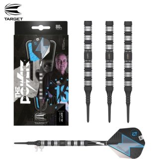 ソフトダーツ Target ターゲット PHIL TAYLOR POWER SERIES SILVER