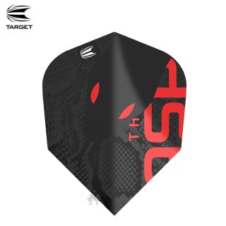 ハードダーツ Target ターゲット NATHAN ASPINALL G2 95