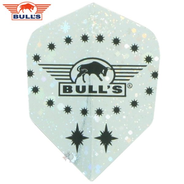 画像1: フライト Bulls ブルズ ダイアモンド ロゴ シルバー  Diamond Logo Silver  No.6スタンダード (1)