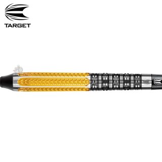 激レア XQ MAX darts ベニート ヴァンデパスモデル ソフトダーツ XQ MAX エックスキューマックス ベニト ヴァン デ