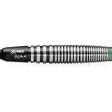 XQ MAX DARTS ソフトダーツ - ダーツショップ Aiming Zept